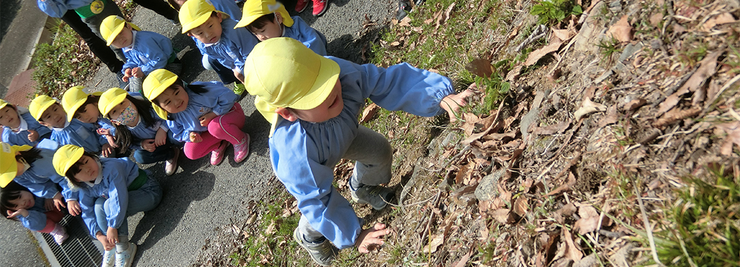わしみね幼稚園　いずみ通信